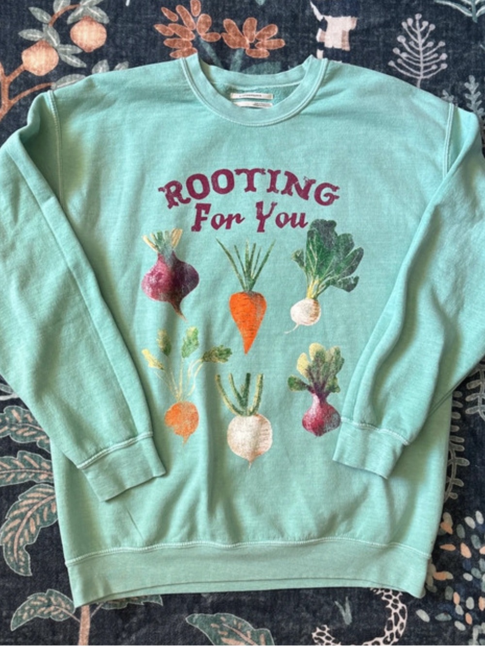 Anthropologie Rooting For You Vegetable Graphic Sweatshirt Size Small
